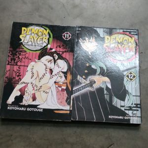 demon slayer volume 11&12