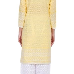 Chikenkari Embroidery Kurti