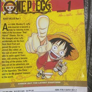 One Piece Vol1