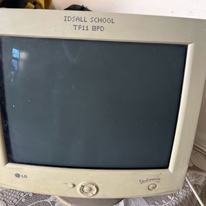 LG- Monitor (computer)