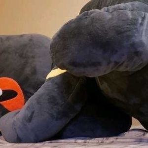 Huge Pokemon Plushie