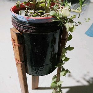 Plant Holder With Pot