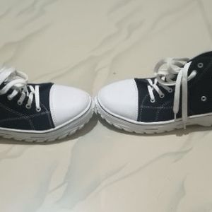 Converse Shoe