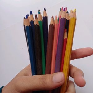 Staedtler Luna 24 Color Pencils