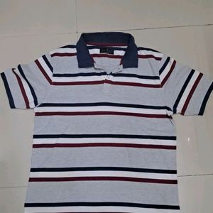 Mens Polo Striped Tshirt