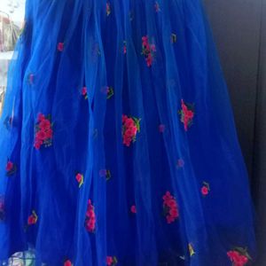 Beutiful Skirt Blue Colour