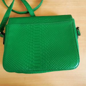 Celine Green Python Medium Classic Sling Bag