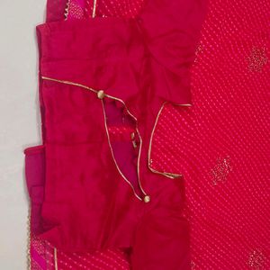 Motna Pink Saree With Blouse