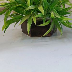 Artificial Plant With Beautiful Wooden Pot