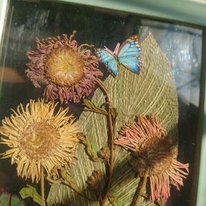 Handmade framed hanging dry Pressed Flower