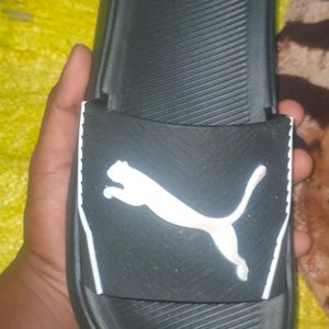 Man Slippers ( PUMA )