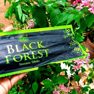 🌲Black Forest Incense Sticks 🌳