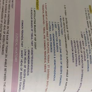 1 St Year Mbbs Anatomy Notes ( Johari ) Vol -1