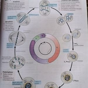 Neet Special Biology