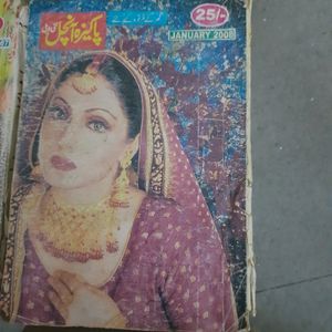 Urdu Novel