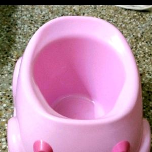 Potty Seat