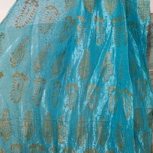 Long Dupatta