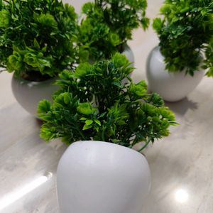 Pack Of 4 Artificial Plants