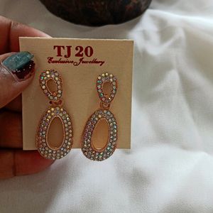 Shining Elegant Earrings