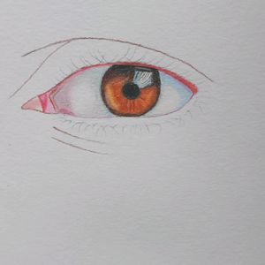 Colour Pencil Drawing