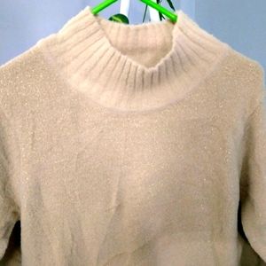 Turtle Neck Sweater