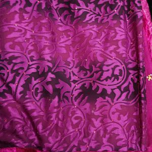 Girlish Look Saree