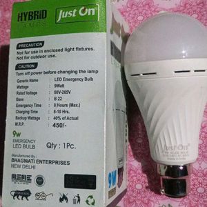 Inverter Bulb