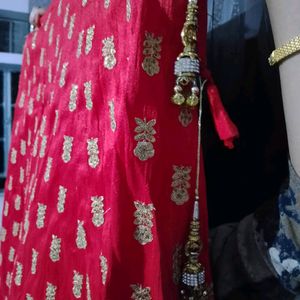 Stylish Lehnga Choli