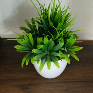 Artificial Flower Pot | Home Decor Item