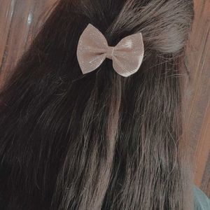 Beautiful Bow Clips