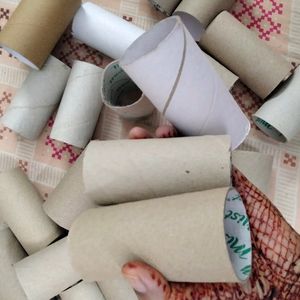 Set Of 25 TP Tubes For Craft