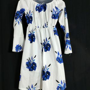 White And Blue Floral Printed Dress (Women)