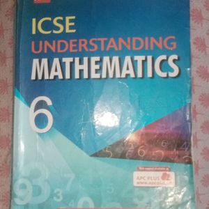 ICSE class 6 th Mathematics