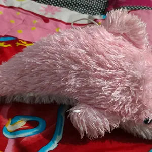 Cute Dolphin Soft Toy