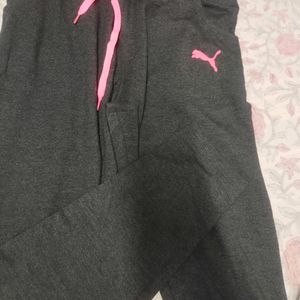 Brand New Gym Wear Pant