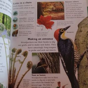 Nature Encyclopedia