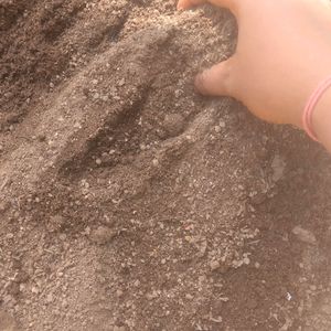 Compost Manure For Plants