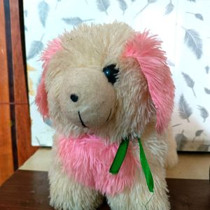 Dog Teddy In Pink Colour