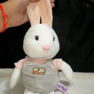 Cute Bunny Plushie