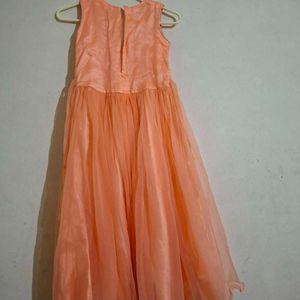 Light Orange Ethnic Gown.