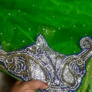 Very Beautfull Parrot Green Net Saree