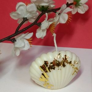 Scented Shell Candles made from Soy Wax