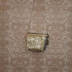 Sequin Bag/Pouch