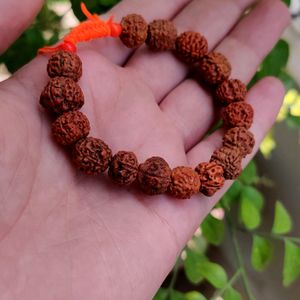 Panchmukhi Rudraksha Bracelet