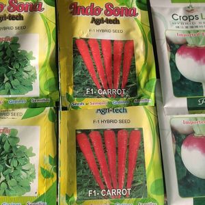 Hybrid Vegetable Seed ( 6 Pack )