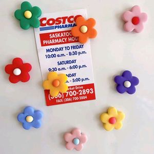 Fridge Magnets-2pcs