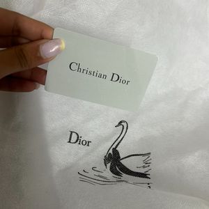 Dior Lady Matte Black Bag