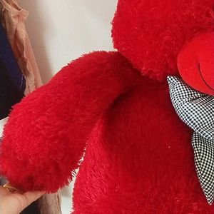 Red Teddy