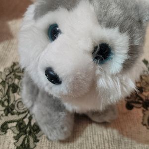 Husky Dog Plush