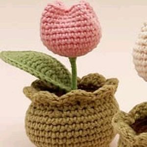 Mini Tulip Pot